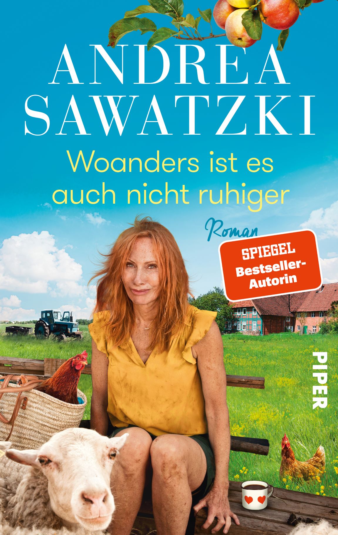 Sawatzki Cover Woanders ist es auch nicht ruhiger1