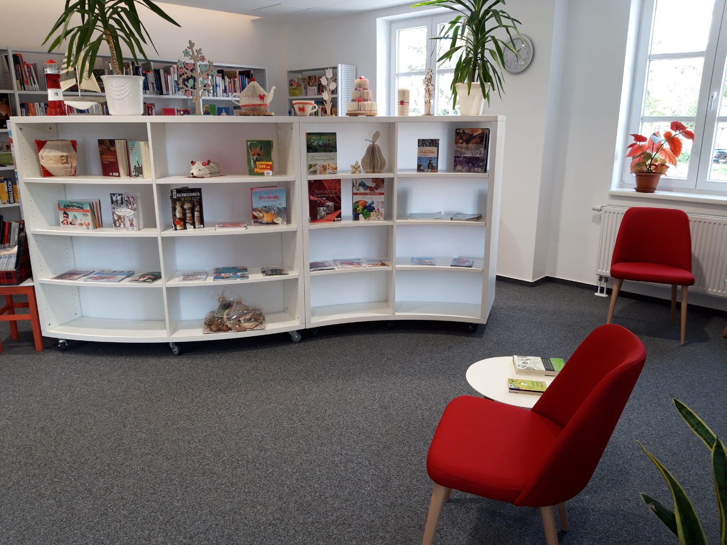 Bibliothek-2019-13.jpg